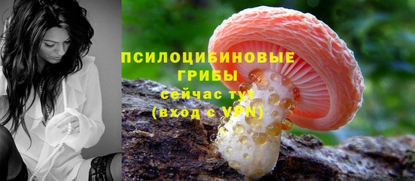 мяу мяу мука Верхний Тагил