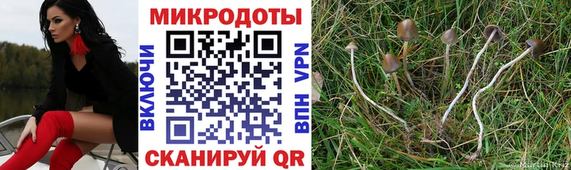 Галлюциногенные грибы Cubensis  Купить закладки  Кинешма 